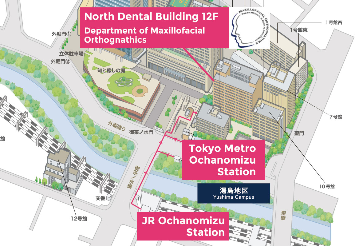 MAPイラスト