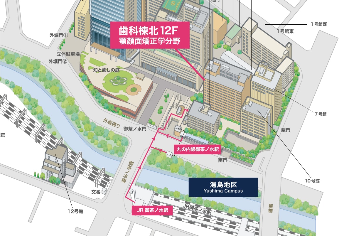 MAPイラスト